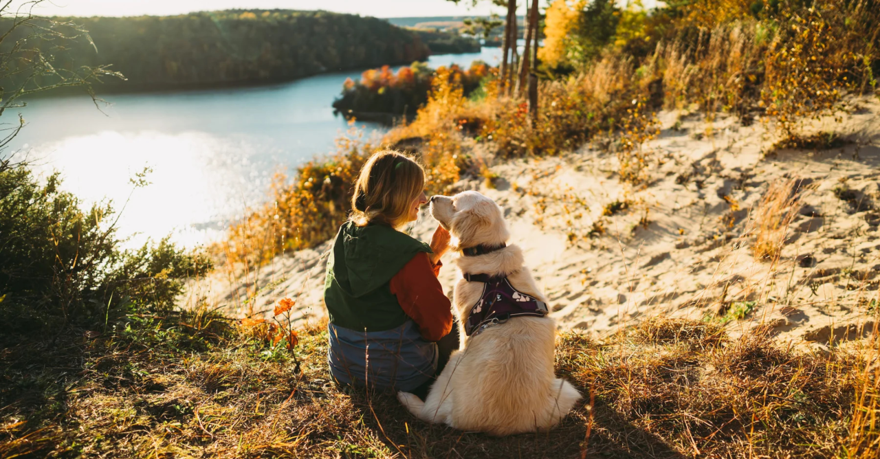 5 Tips For Better Pet Photos To Immortalize Your Furry Friends