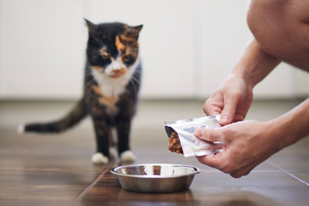 A Complete Guide To Pet Nutrition: Keeping Your Furry Friends Healthy -  Snouters